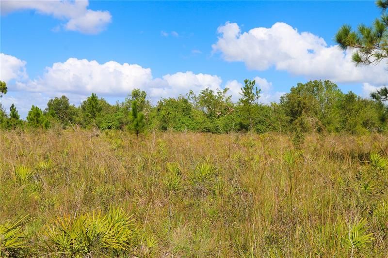 Recently Sold: $10,000 (1.01 acres)