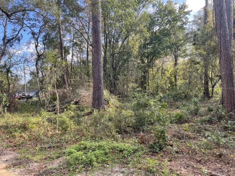 Recently Sold: $27,000 (0.35 acres)