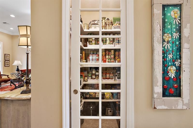 Walk-in pantry with custom shelving and glass French pocket door