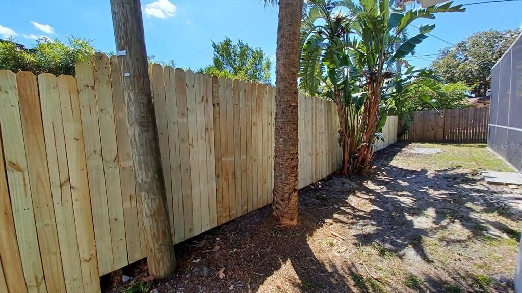 Brand new fence along left side of backyard