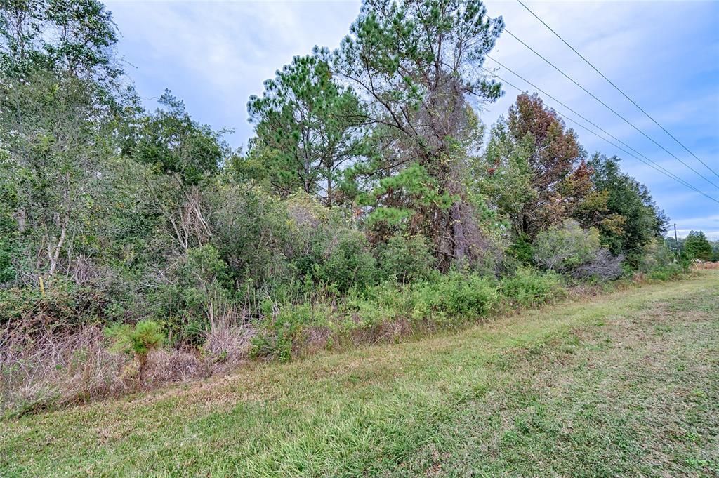 Recently Sold: $81,000 (8.74 acres)