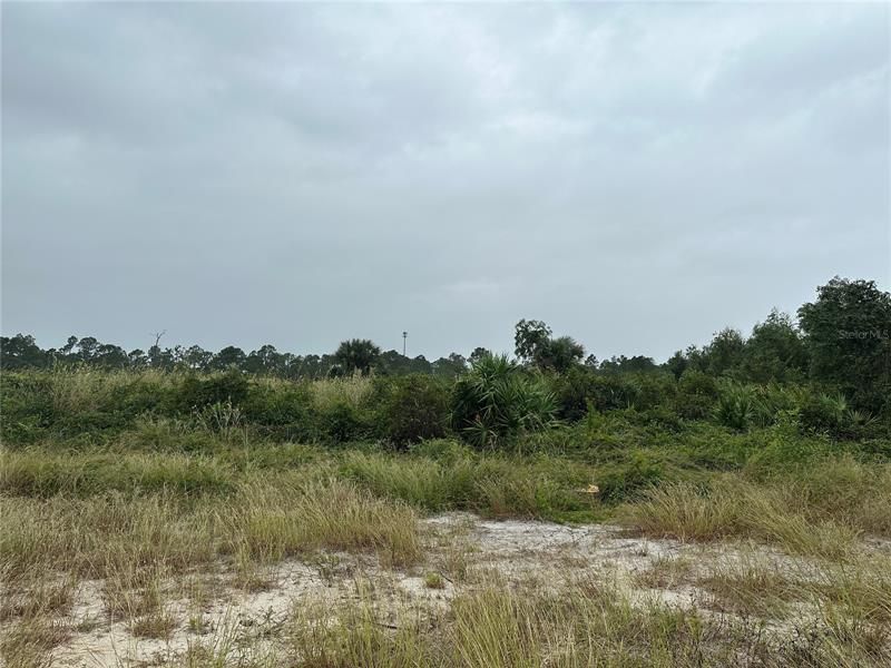 Recently Sold: $65,000 (1.25 acres)