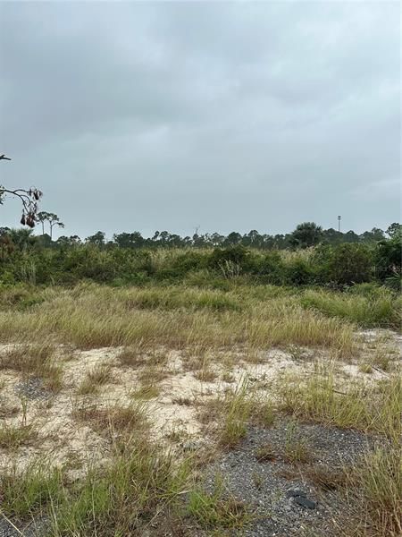 Vendido Recientemente: $65,000 (1.25 acres)