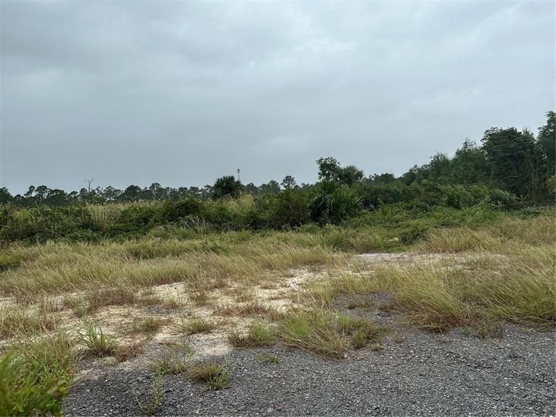 Recently Sold: $65,000 (1.25 acres)