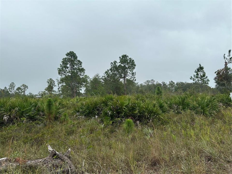 Vendido Recientemente: $60,000 (1.25 acres)