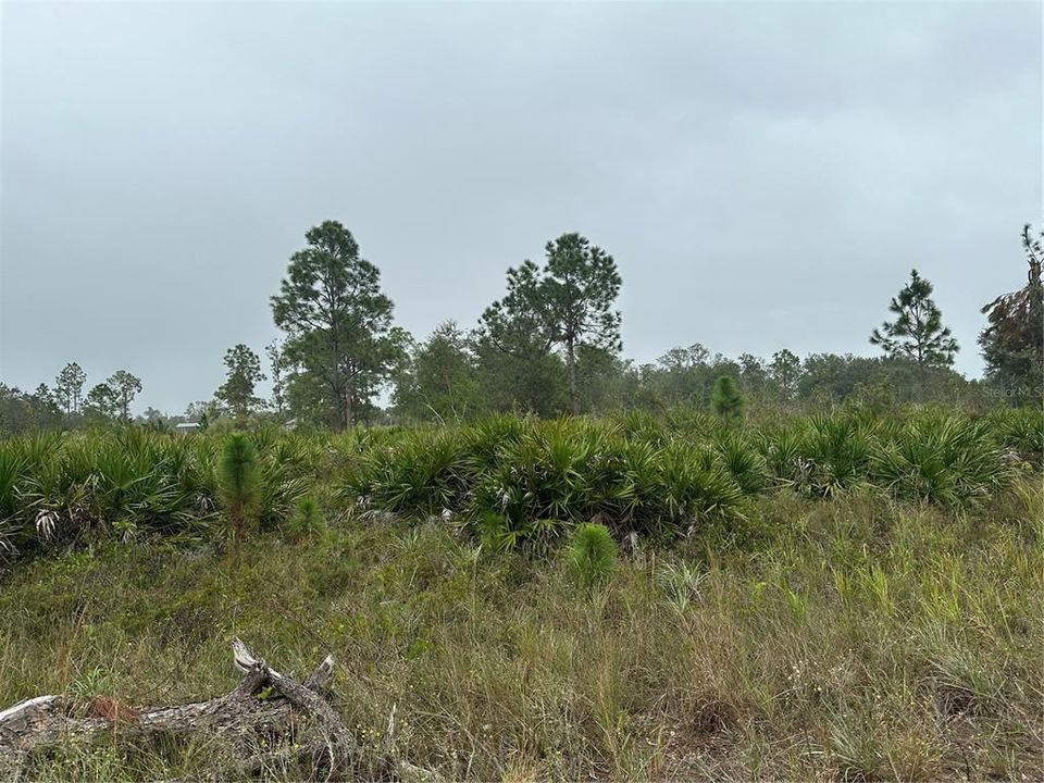 Vendido Recientemente: $60,000 (1.25 acres)