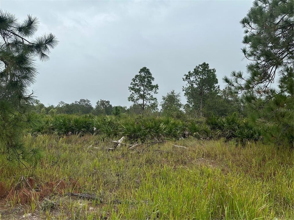 Recently Sold: $60,000 (1.25 acres)