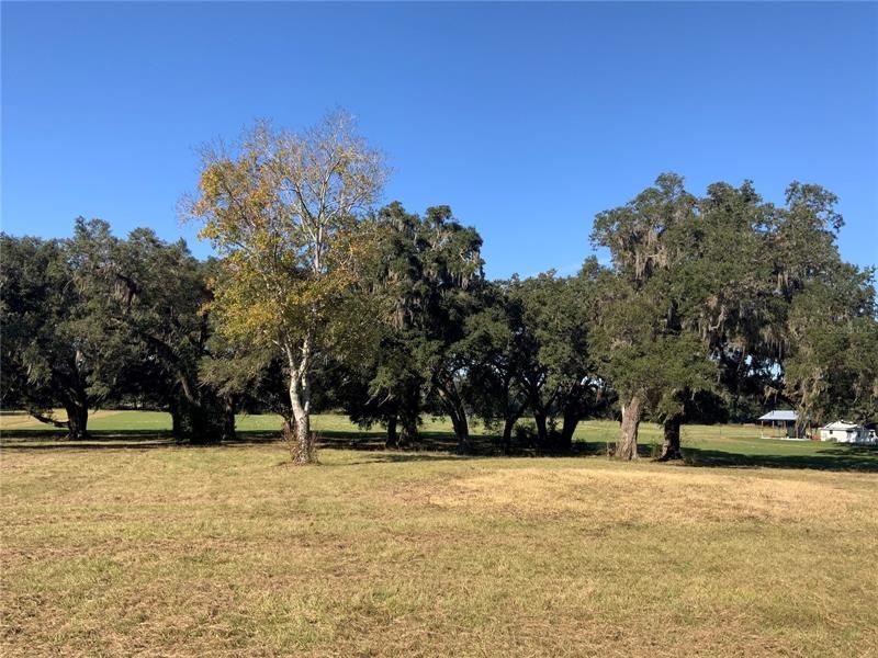 Recently Sold: $265,000 (9.70 acres)