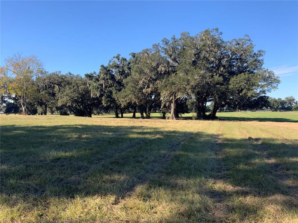 Recently Sold: $265,000 (9.70 acres)