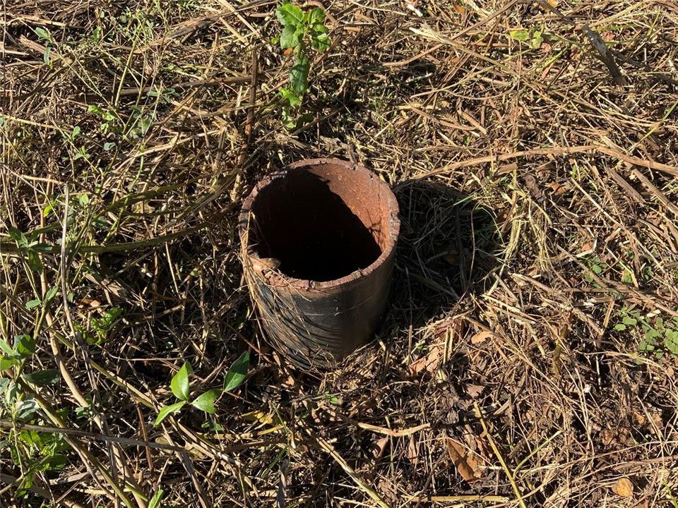 6 inch agriculture well at the back of the property