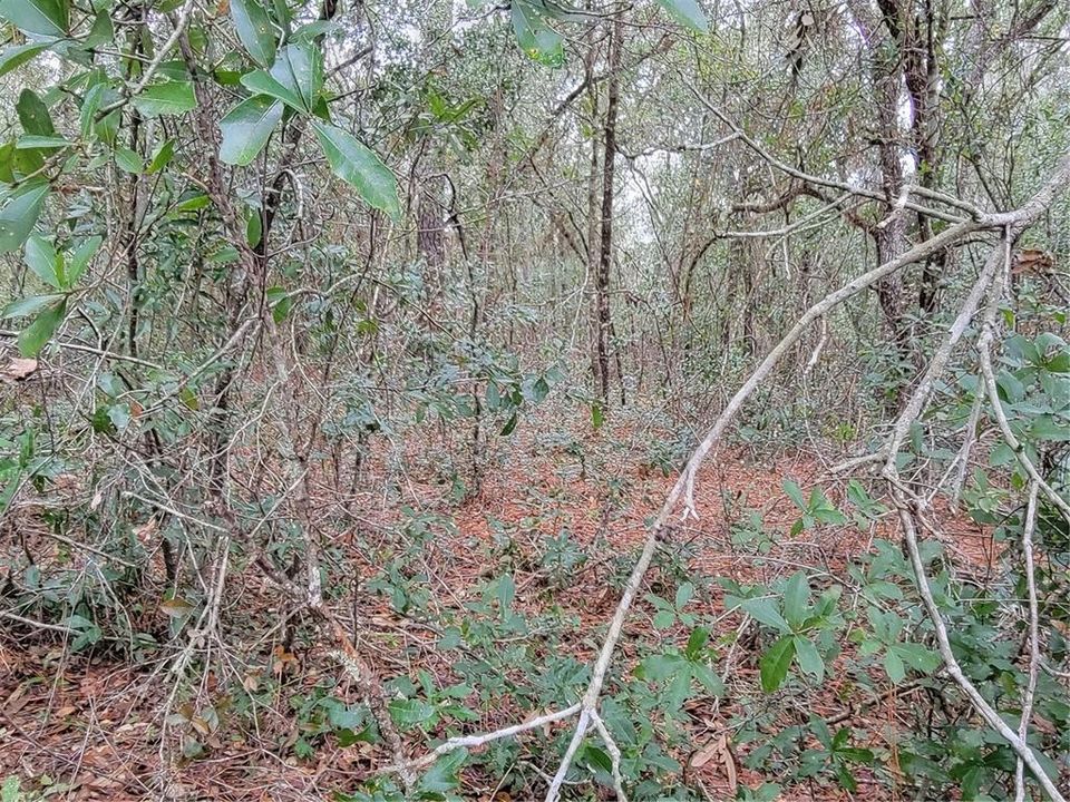 Vendido Recientemente: $99,500 (3.08 acres)