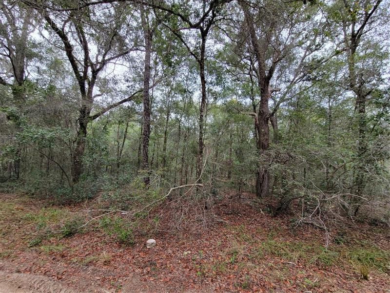 Vendido Recientemente: $99,500 (3.08 acres)