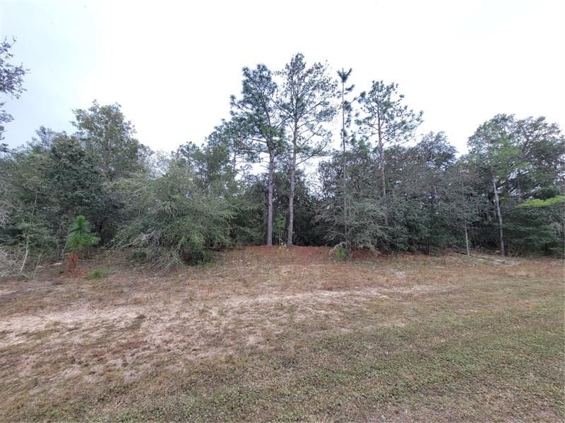 Recently Sold: $99,500 (3.08 acres)