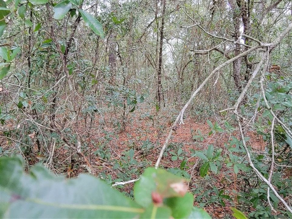 Vendido Recientemente: $99,500 (3.08 acres)