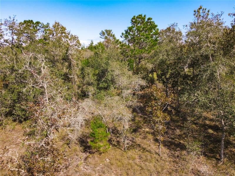 Recently Sold: $35,000 (0.67 acres)