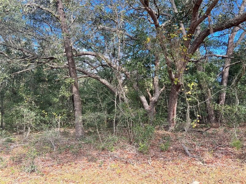 Recently Sold: $19,900 (1.25 acres)