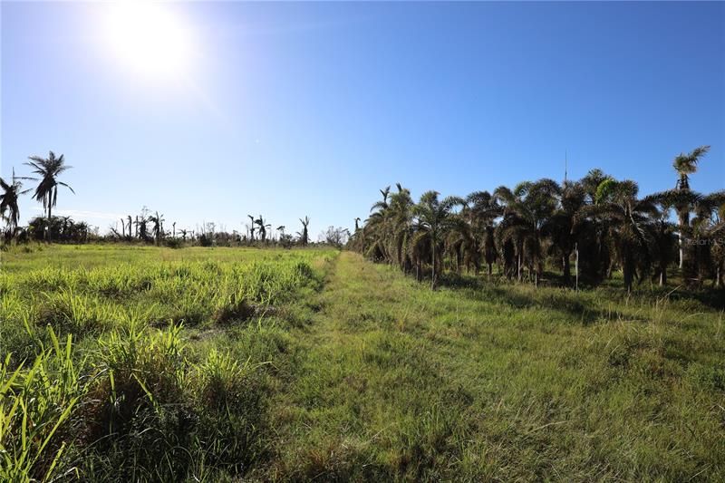 Vendido Recientemente: $149,000 (1.47 acres)