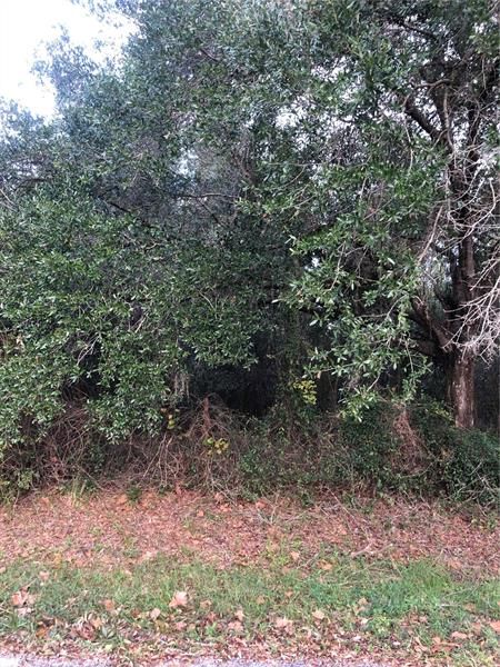 Vendido Recientemente: $65,000 (0.51 acres)