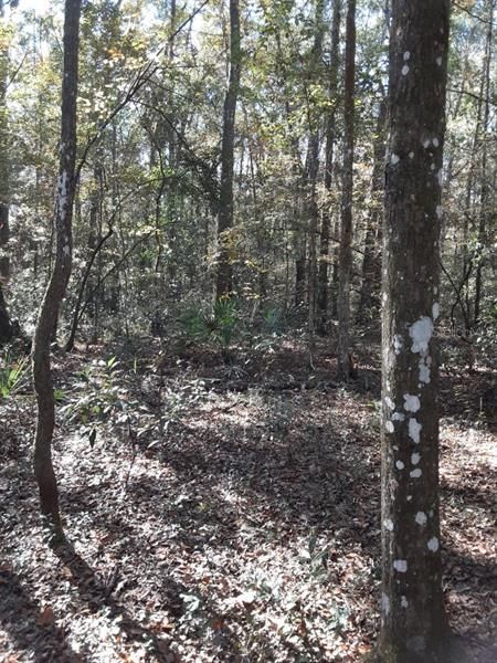 Recently Sold: $59,000 (5.64 acres)