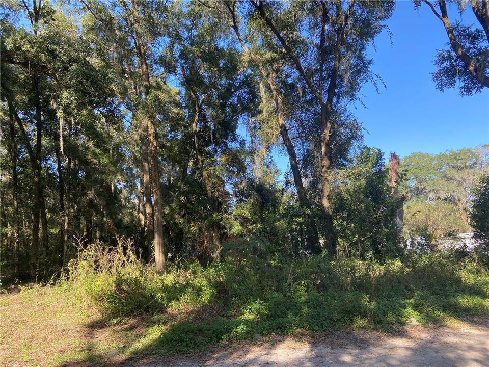 Recently Sold: $37,900 (1.25 acres)