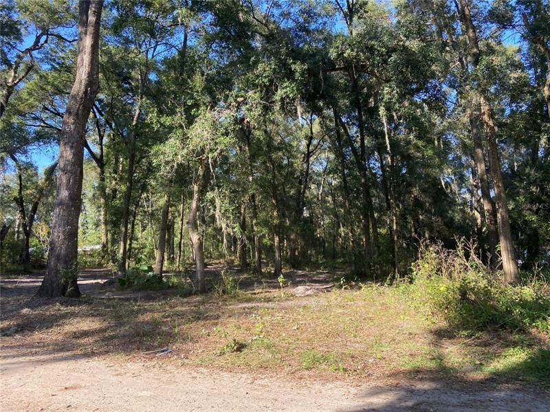 Recently Sold: $37,900 (1.25 acres)