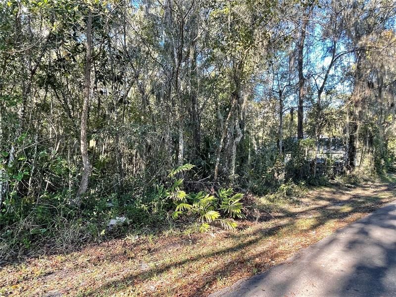 Recently Sold: $12,000 (0.22 acres)