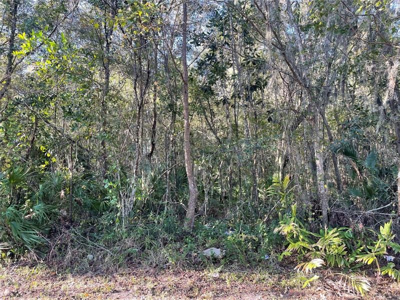 Recently Sold: $12,000 (0.22 acres)