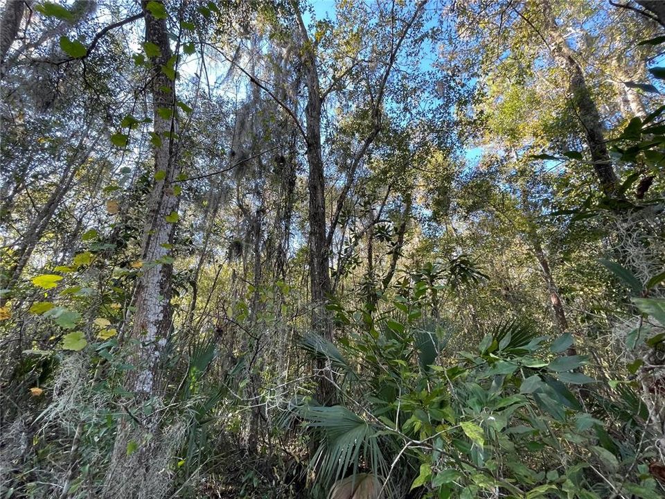 Recently Sold: $12,000 (0.22 acres)