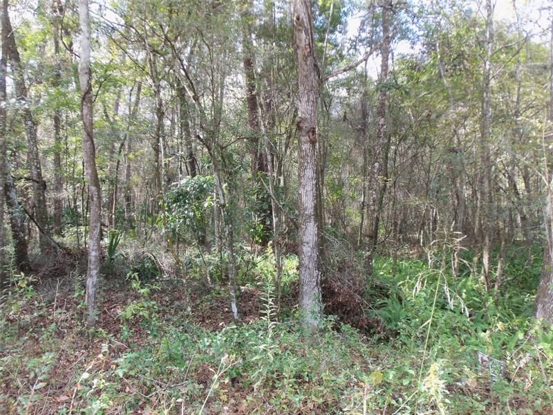 Recently Sold: $8,500 (0.28 acres)