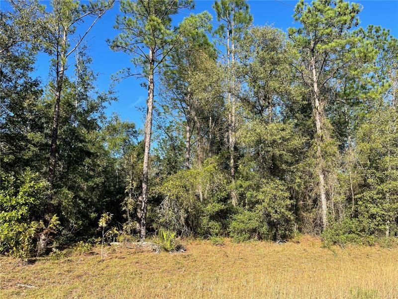 Recently Sold: $55,000 (4.41 acres)