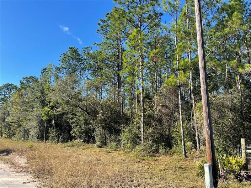 Recently Sold: $55,000 (4.41 acres)