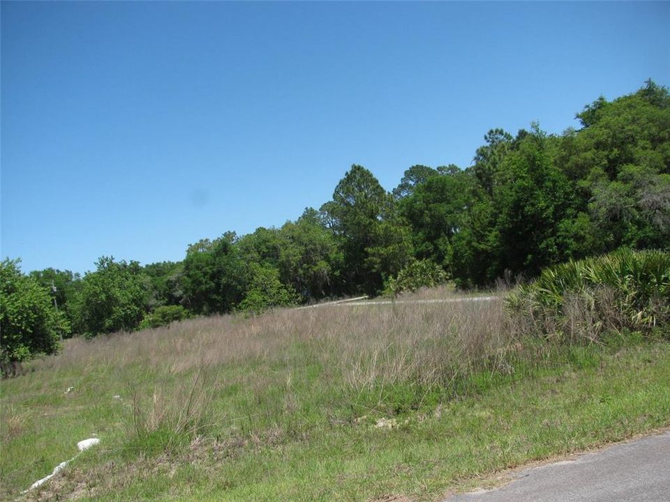 En Venta: $34,000 (0.34 acres)