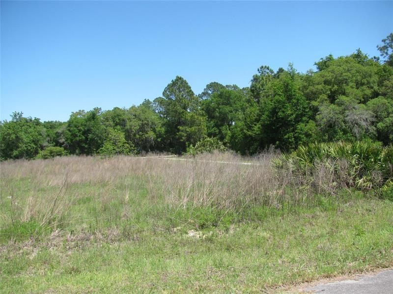 For Sale: $34,000 (0.34 acres)
