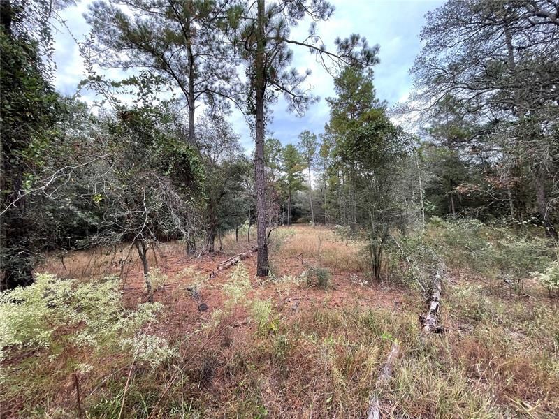 Recently Sold: $55,000 (4.60 acres)