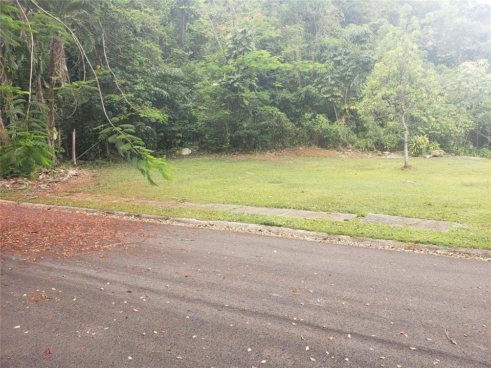 En Venta: $69,000 (0.29 acres)