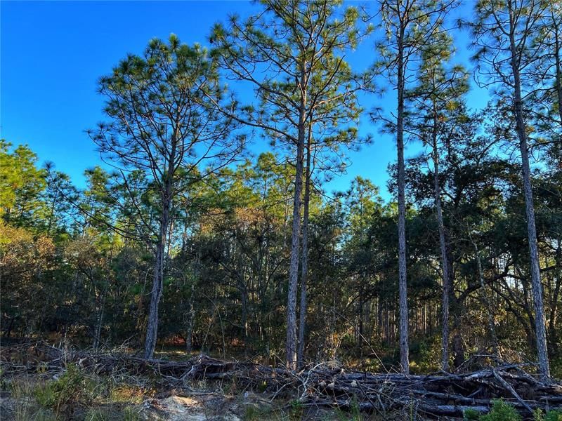 Recently Sold: $74,900 (2.31 acres)