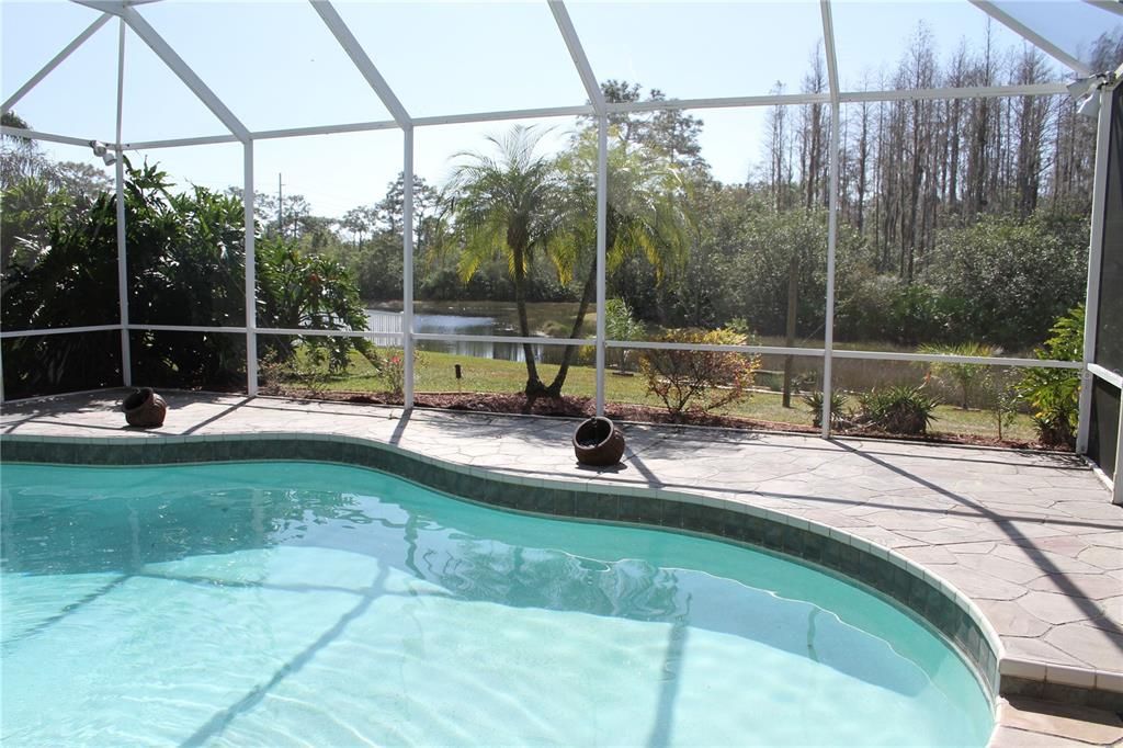 Large swimming pool with deck fountain sprays located on homesite with no backyard neighbors.