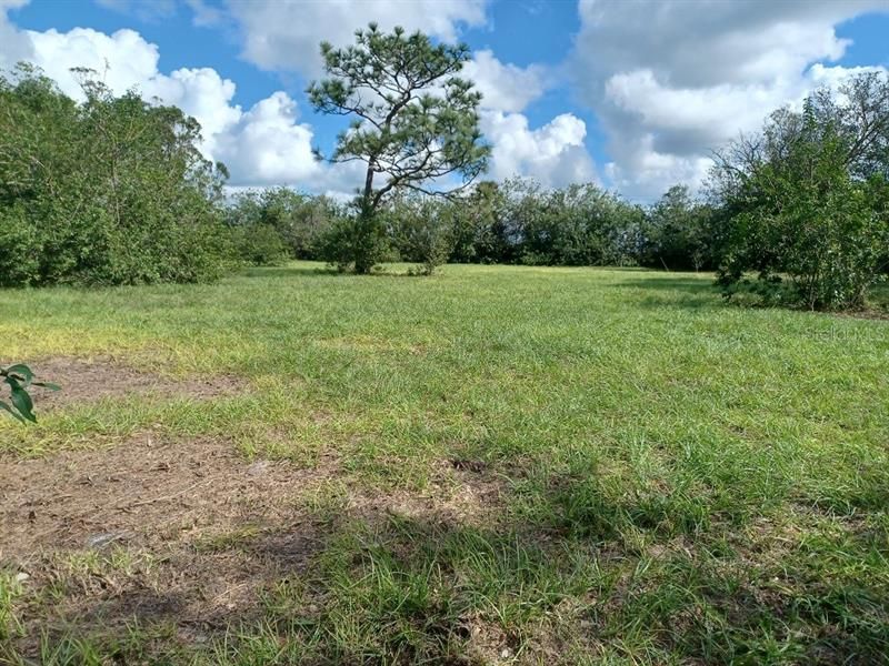 Recently Sold: $52,000 (1.55 acres)