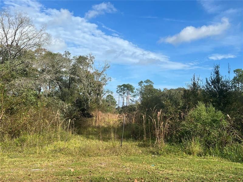 Recently Sold: $35,000 (0.11 acres)