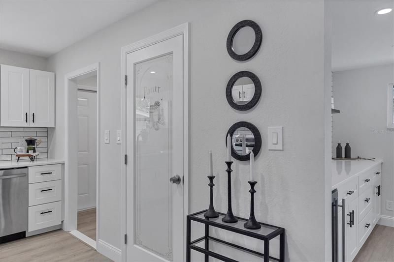 Pantry Door and Laundry Entryway
