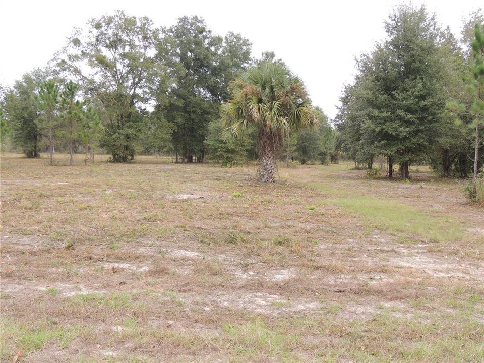 Recently Sold: $65,000 (5.00 acres)