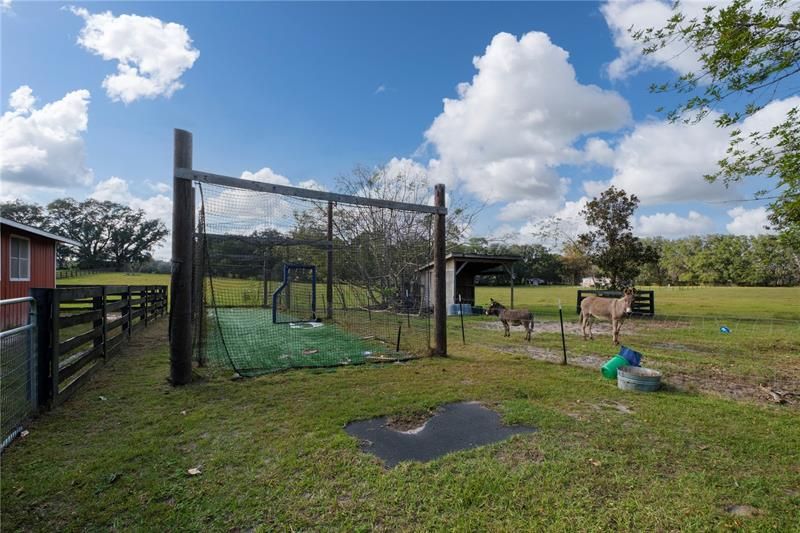 Batting Cage