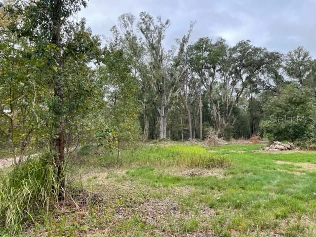 Recently Sold: $38,000 (1.59 acres)