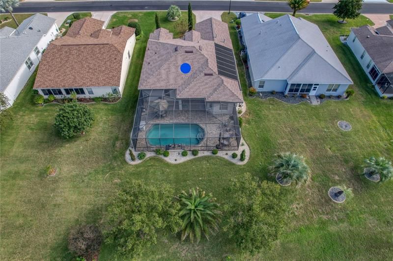 Pool & Backyard