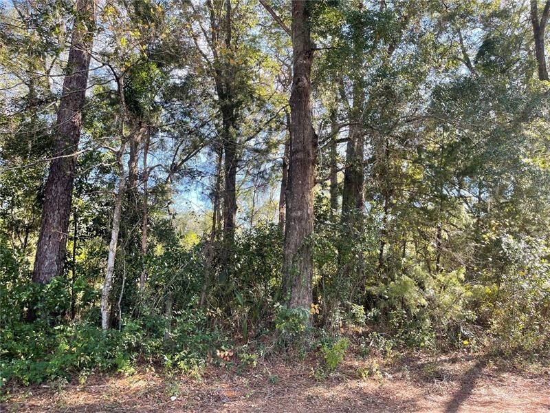 Recently Sold: $34,900 (0.34 acres)
