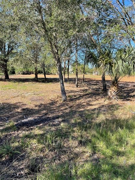 Recently Sold: $85,000 (3.01 acres)
