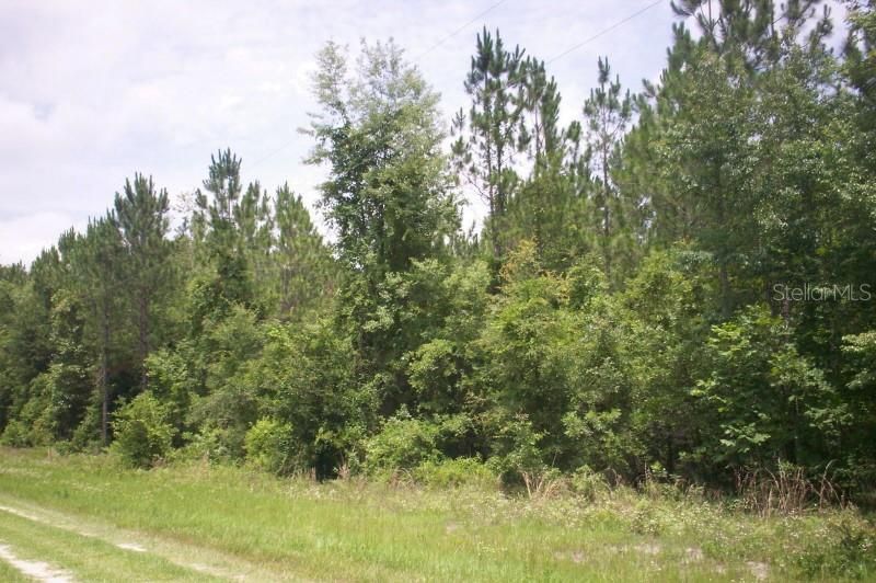 Recently Sold: $3,500 (0.15 acres)