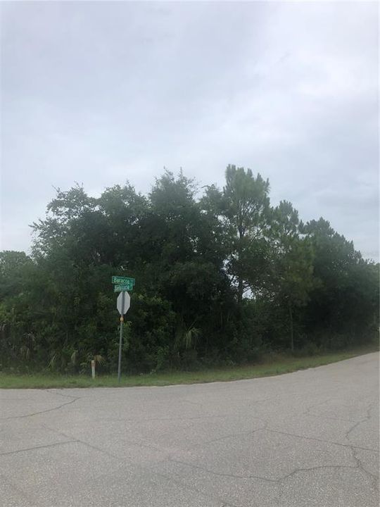 最近售出: $539,700 (4.44 acres)