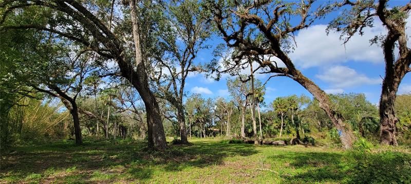 Недавно продано: $125,000 (5.17 acres)