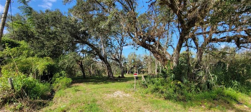 Recently Sold: $125,000 (5.17 acres)